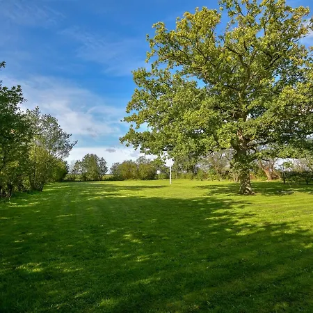 Knut - 10km From The Sea By Interhome Højer